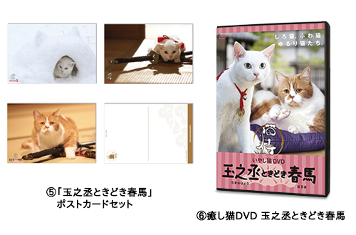 「猫侍」コレクターズセット 画像2